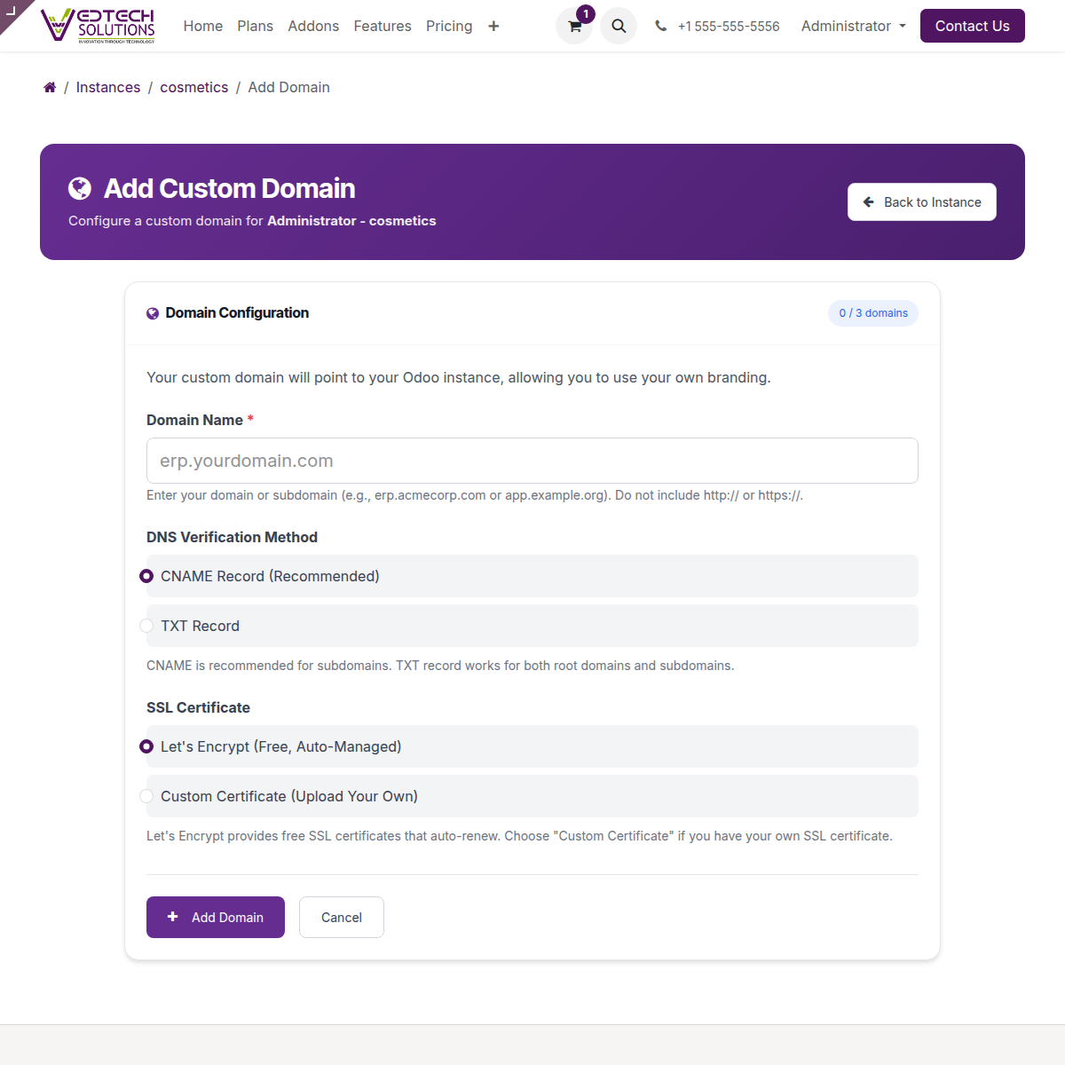 Add Custom Domain Form